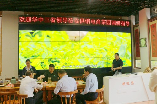 2023年5月25日华中三省供销系统领导来广义茶园参观指导工作
